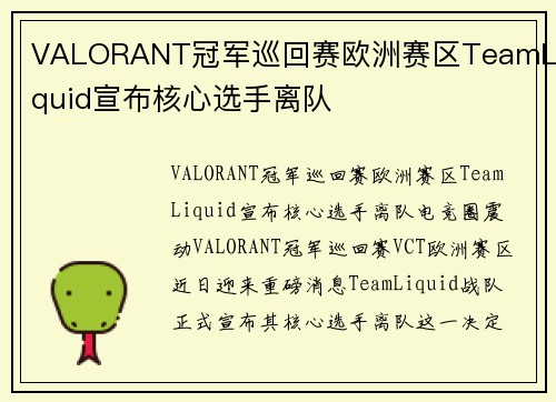 VALORANT冠军巡回赛欧洲赛区TeamLiquid宣布核心选手离队